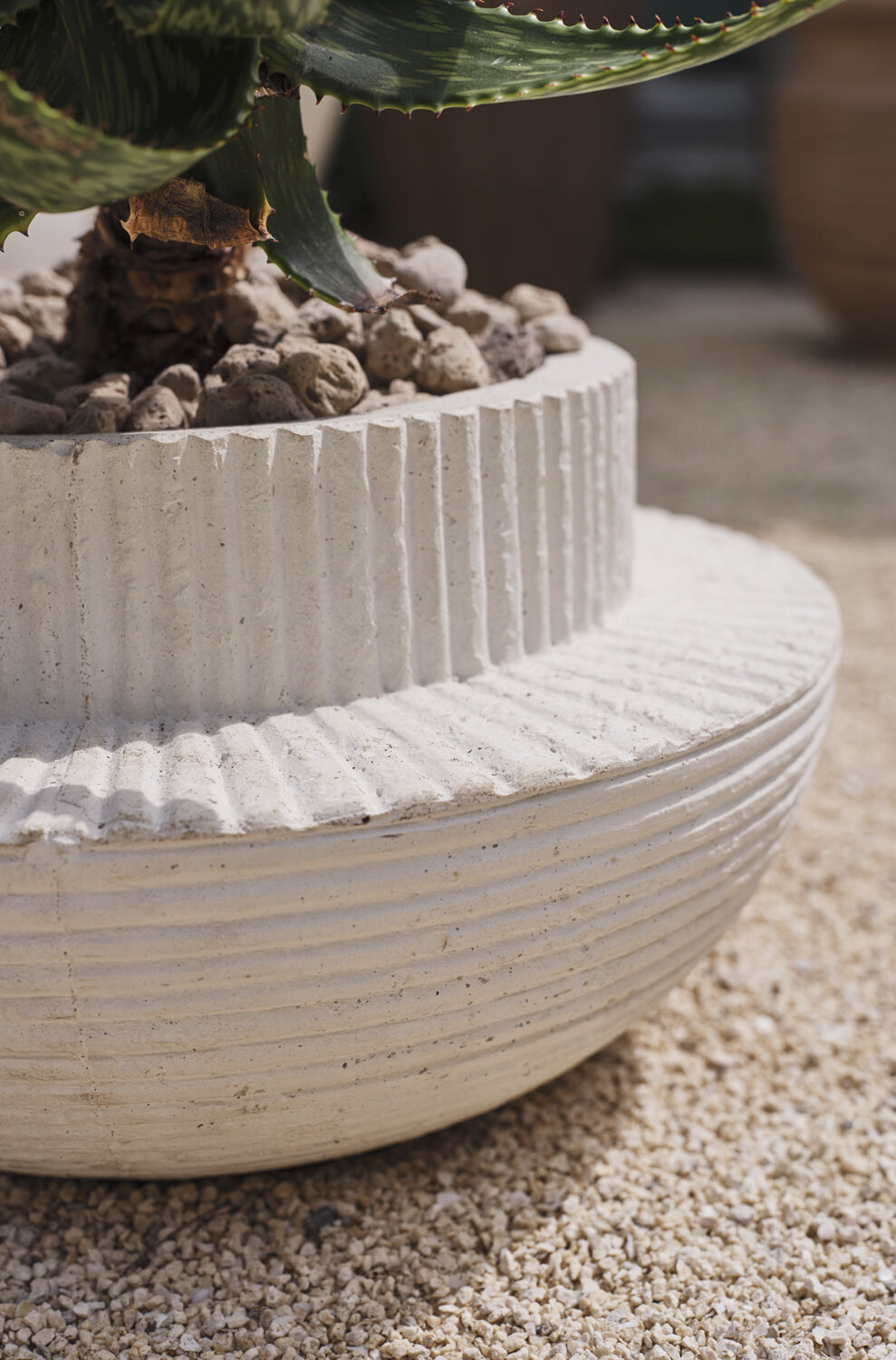 Andromeda Pot