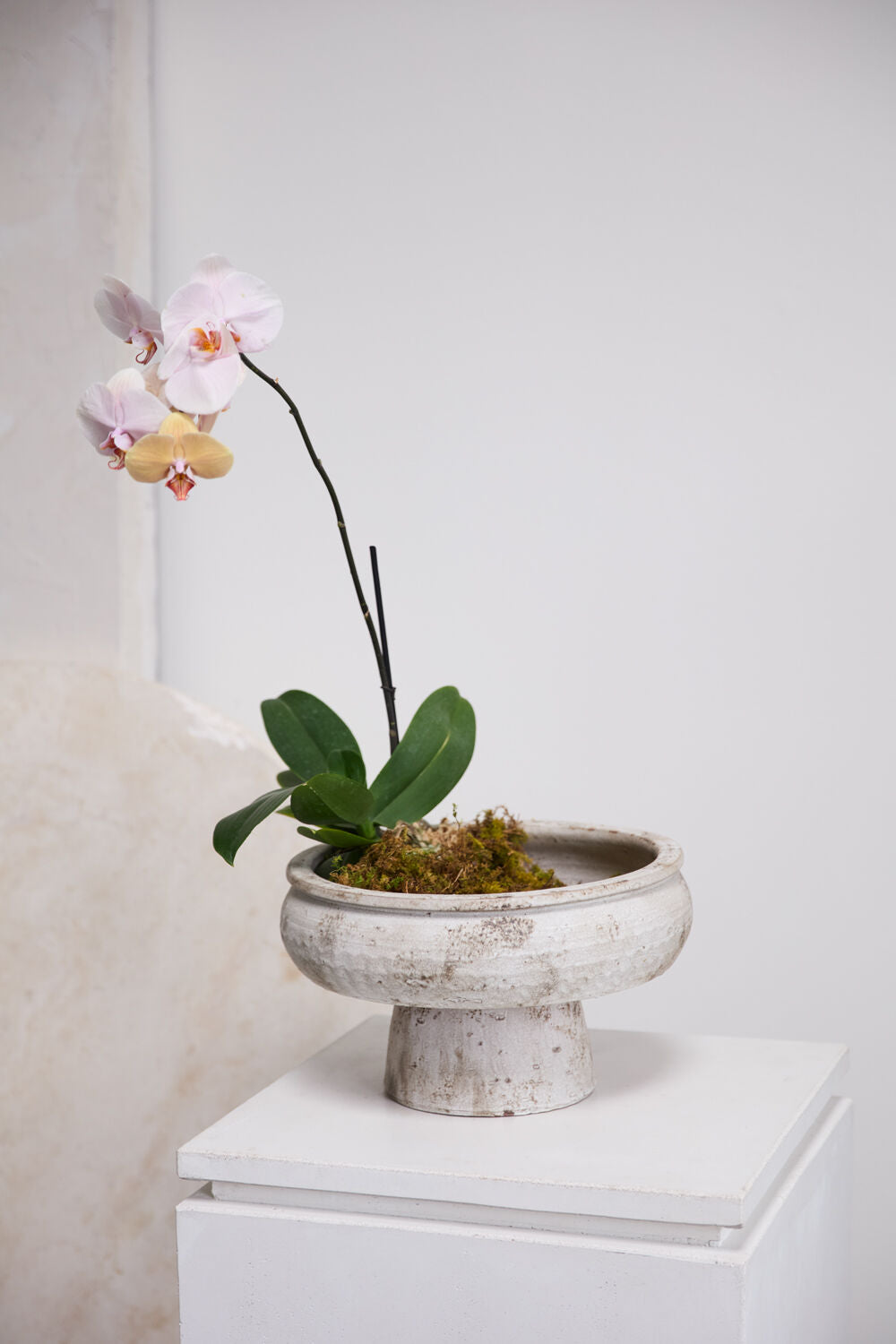 Garance Footed Bowl