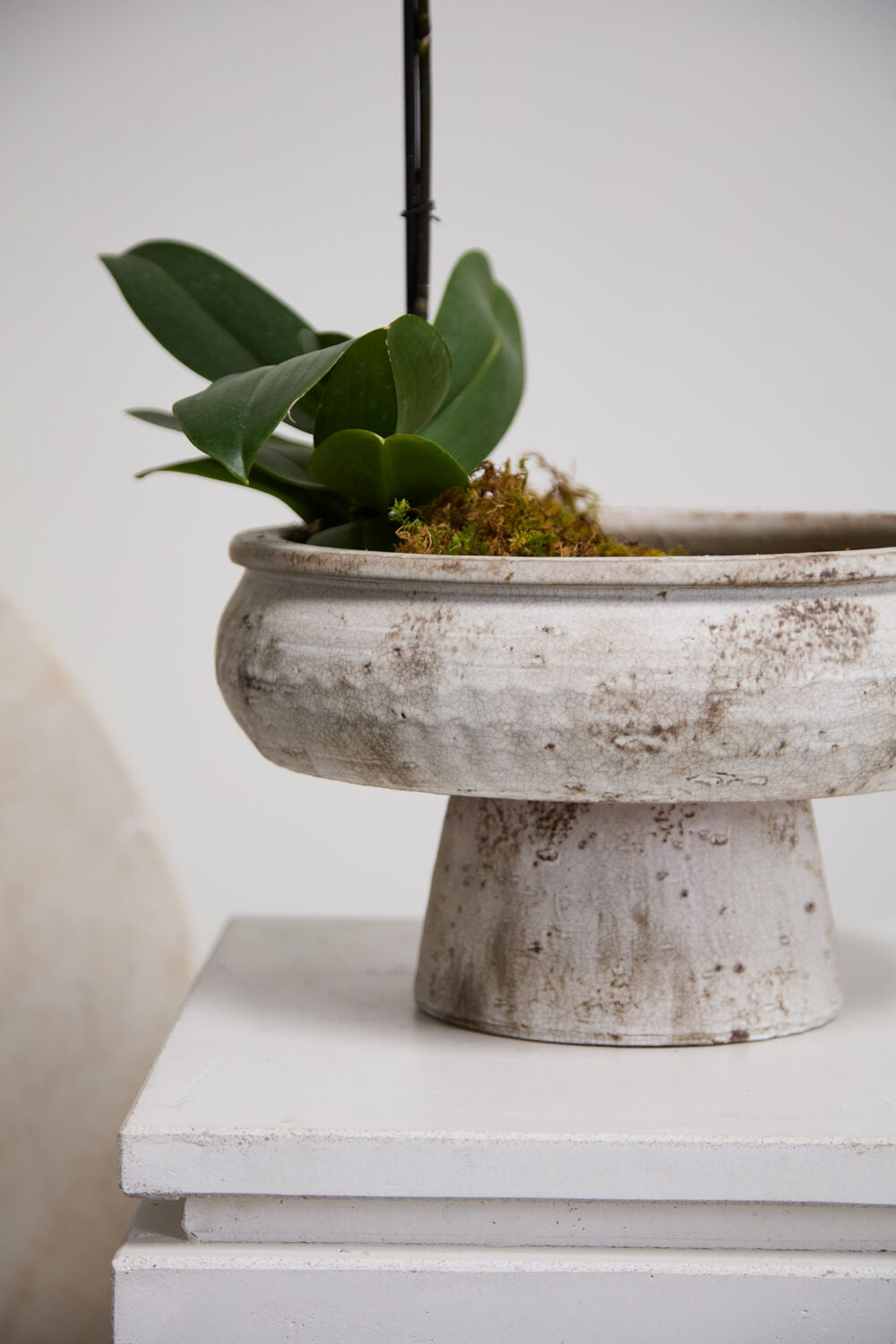 Garance Footed Bowl