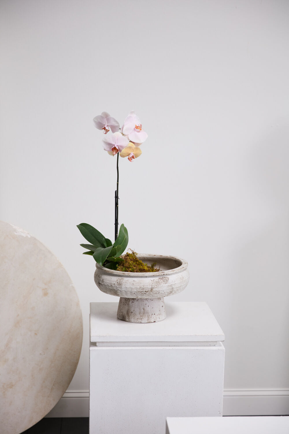 Garance Footed Bowl
