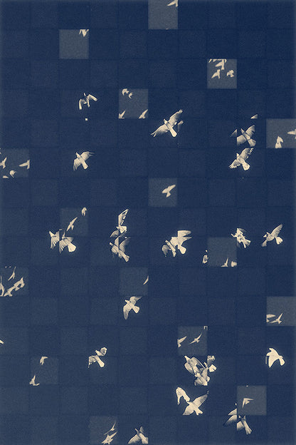 Photogram Collage I