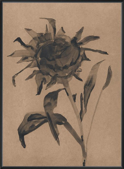 Shaded Flora IX