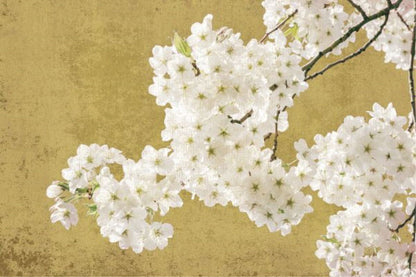 Brilliant Blossom