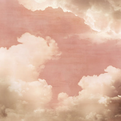 Pink Clouds