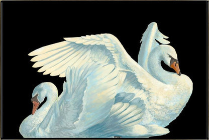 Gliding Swans