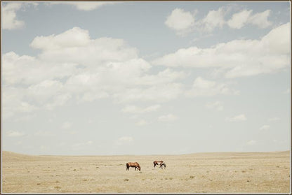 Among the Wild