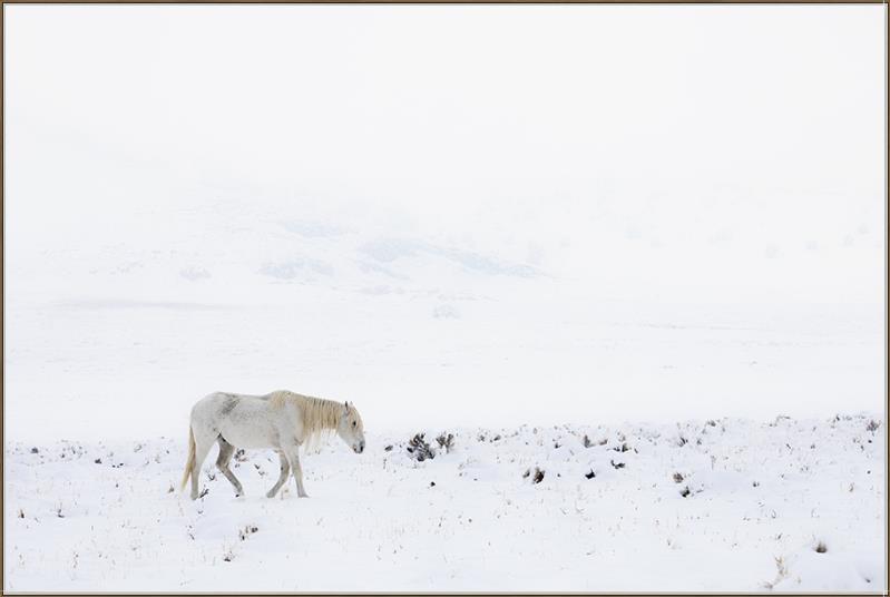 The Old Man in Winter