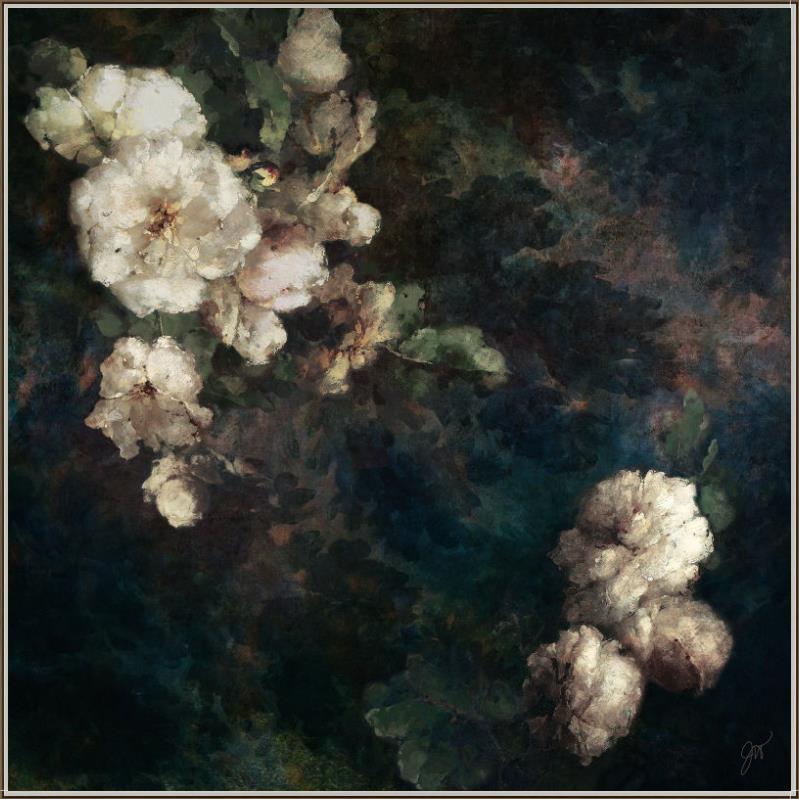 Botanical Dreams