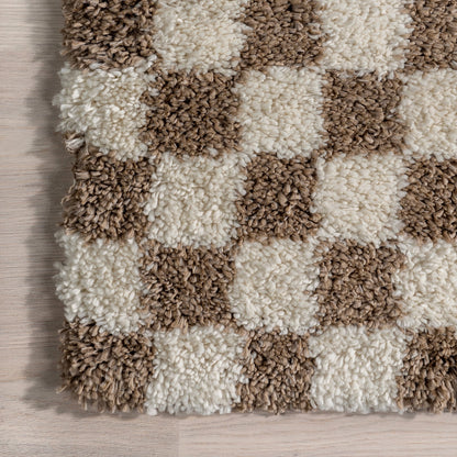Adelaide Mid-Century Checkered Shag Area Rug