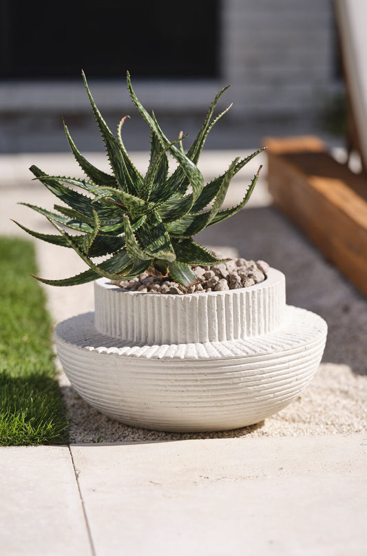Andromeda Pot