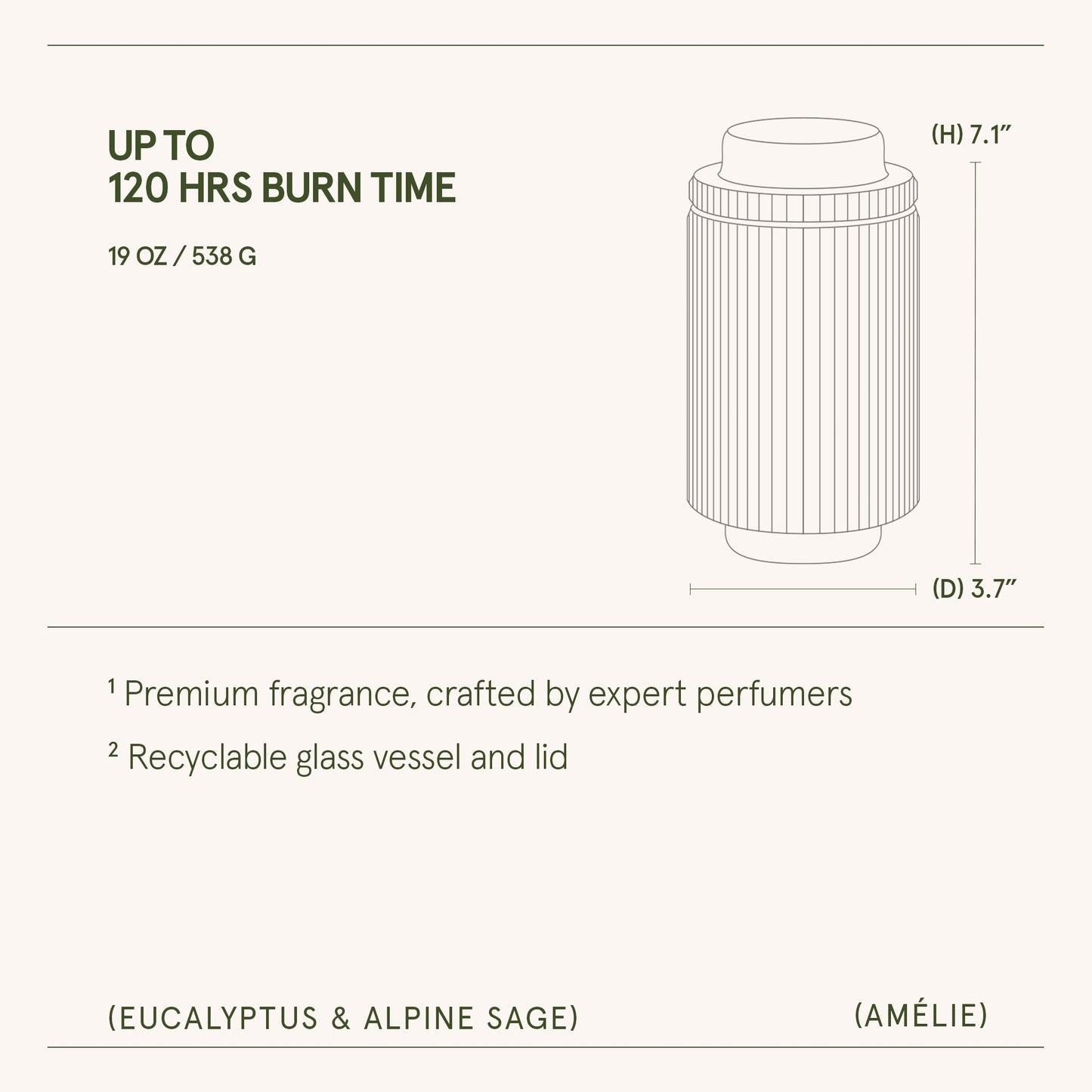 Amélie –  Eucalyptus & Alpine Sage Candle