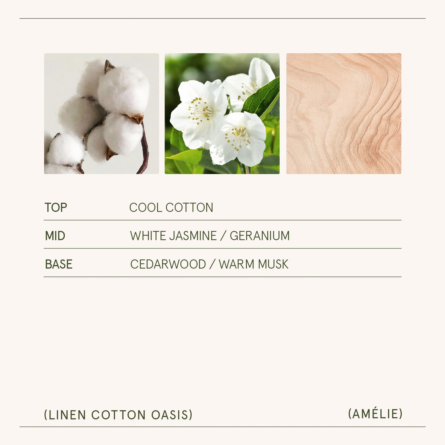 Amélie –  Linen Cotton Oasis Candle