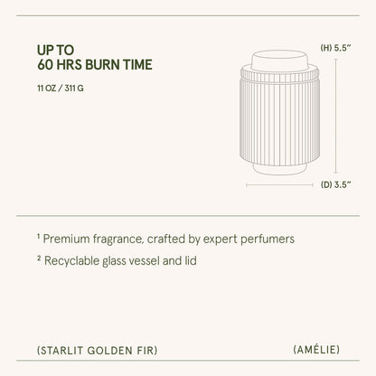Amélie – Starlit Golden Fir 11oz Candle