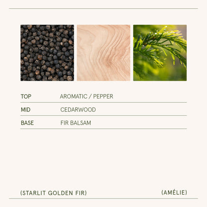Amélie – Starlit Golden Fir 3oz Candle