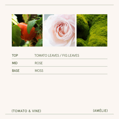 Amélie – Tomato & Vine Candle