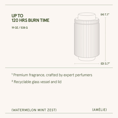 Amélie – Watermelon Mint Zest Candle