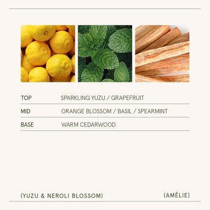 Amélie – Yuzu & Neroli Blossom Candle