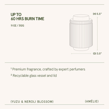 Amélie – Yuzu & Neroli Blossom Candle