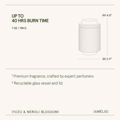 Amélie – Yuzu & Neroli Blossom Candle