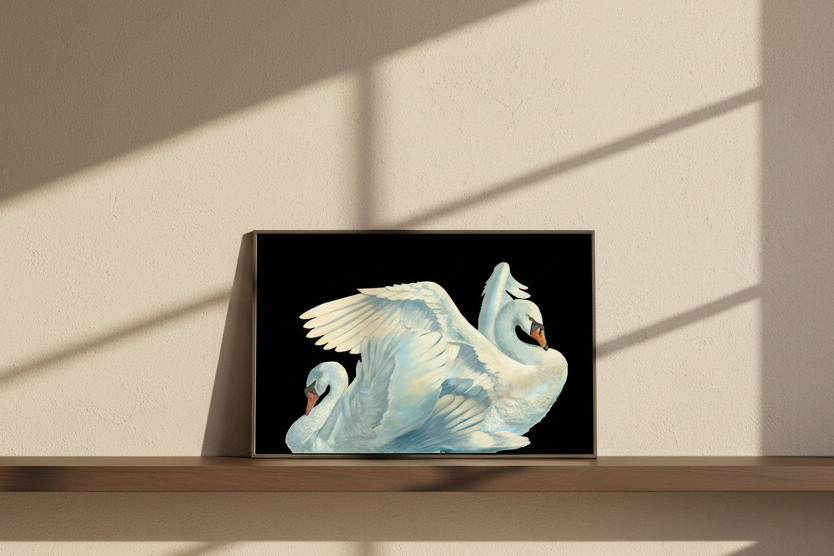 Gliding Swans