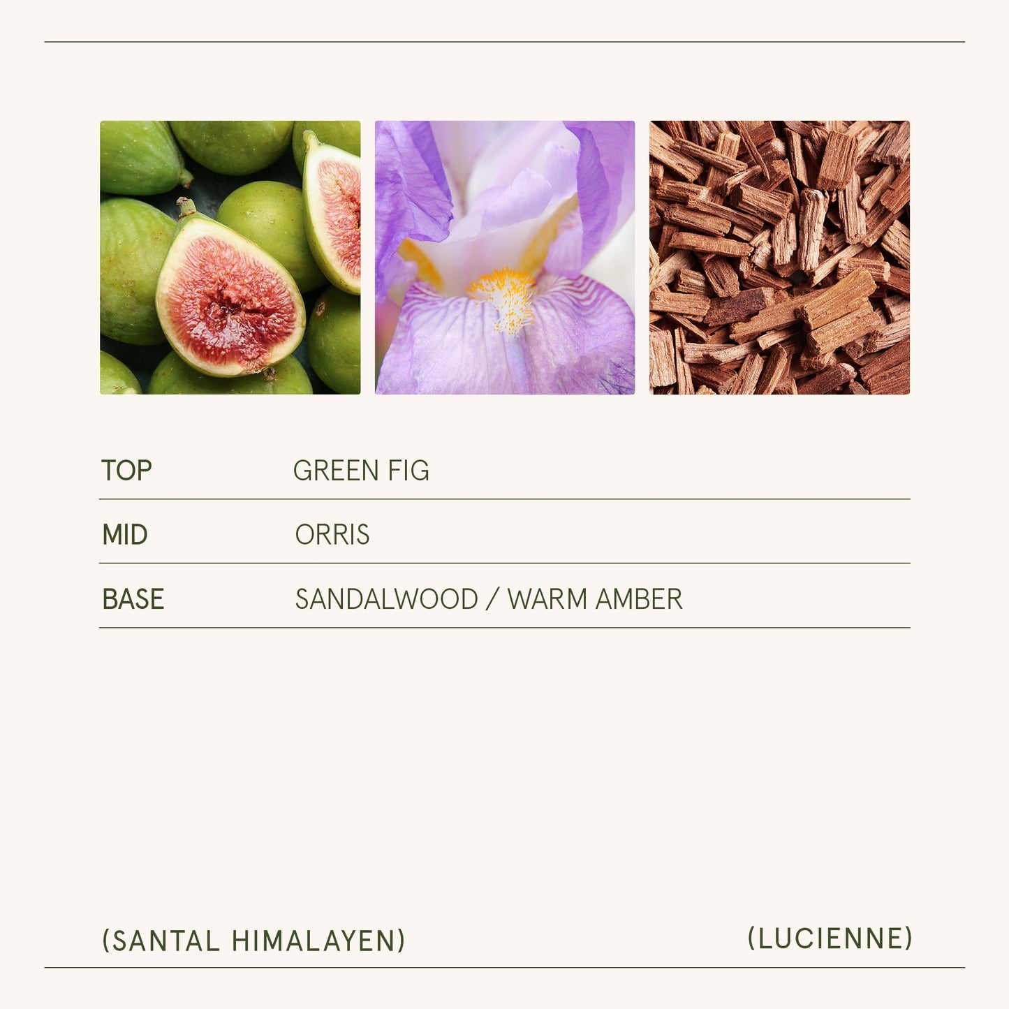 Lucienne - Santal Himalayen Candle