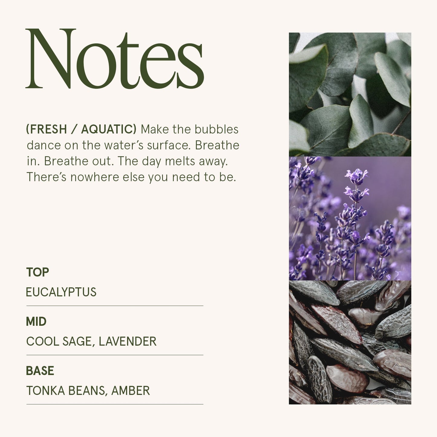 Maelyn - Eucalyptus & Alpine Sage 19oz Candle