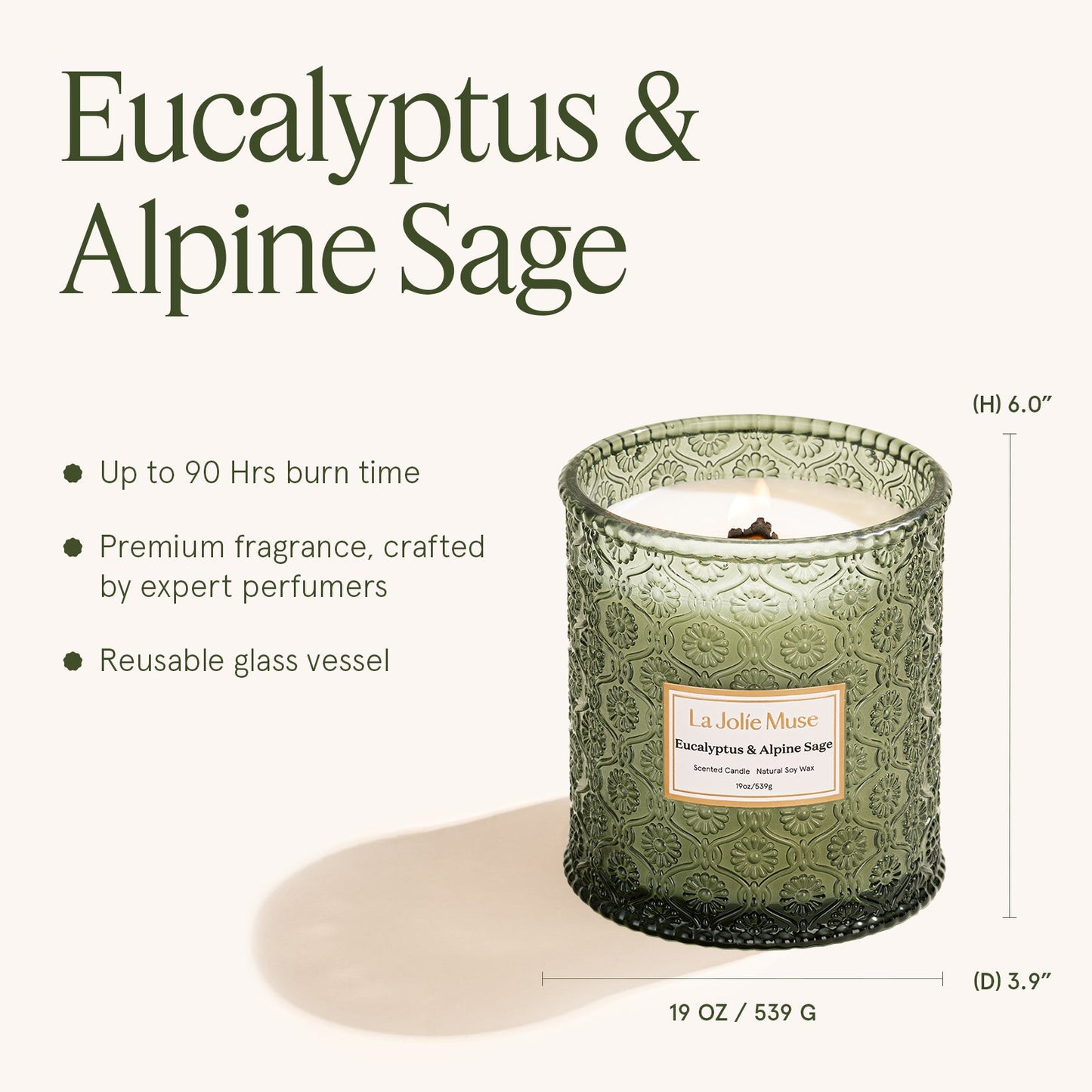 Maelyn - Eucalyptus & Alpine Sage 19oz Candle