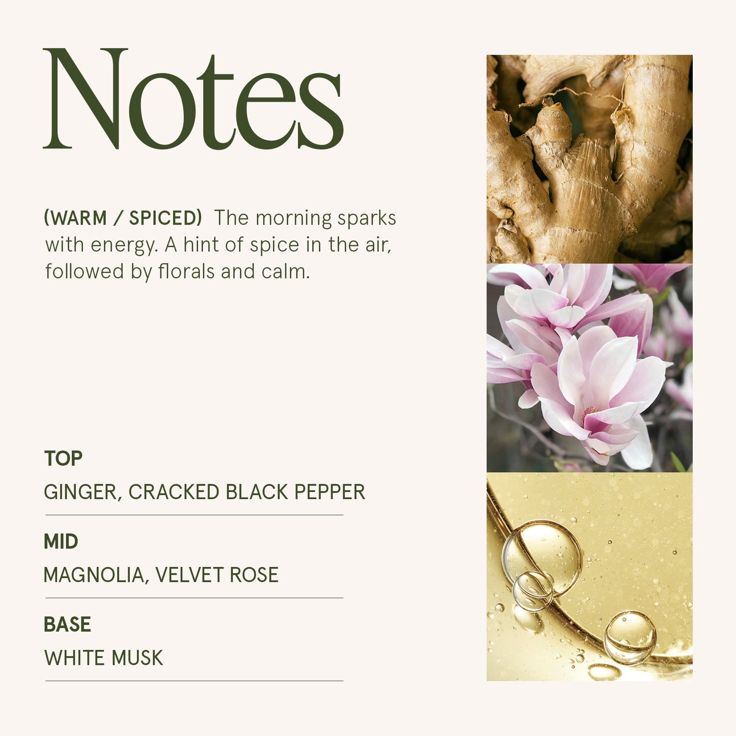 Maelyn - Ginger & White Musk 6oz Candle