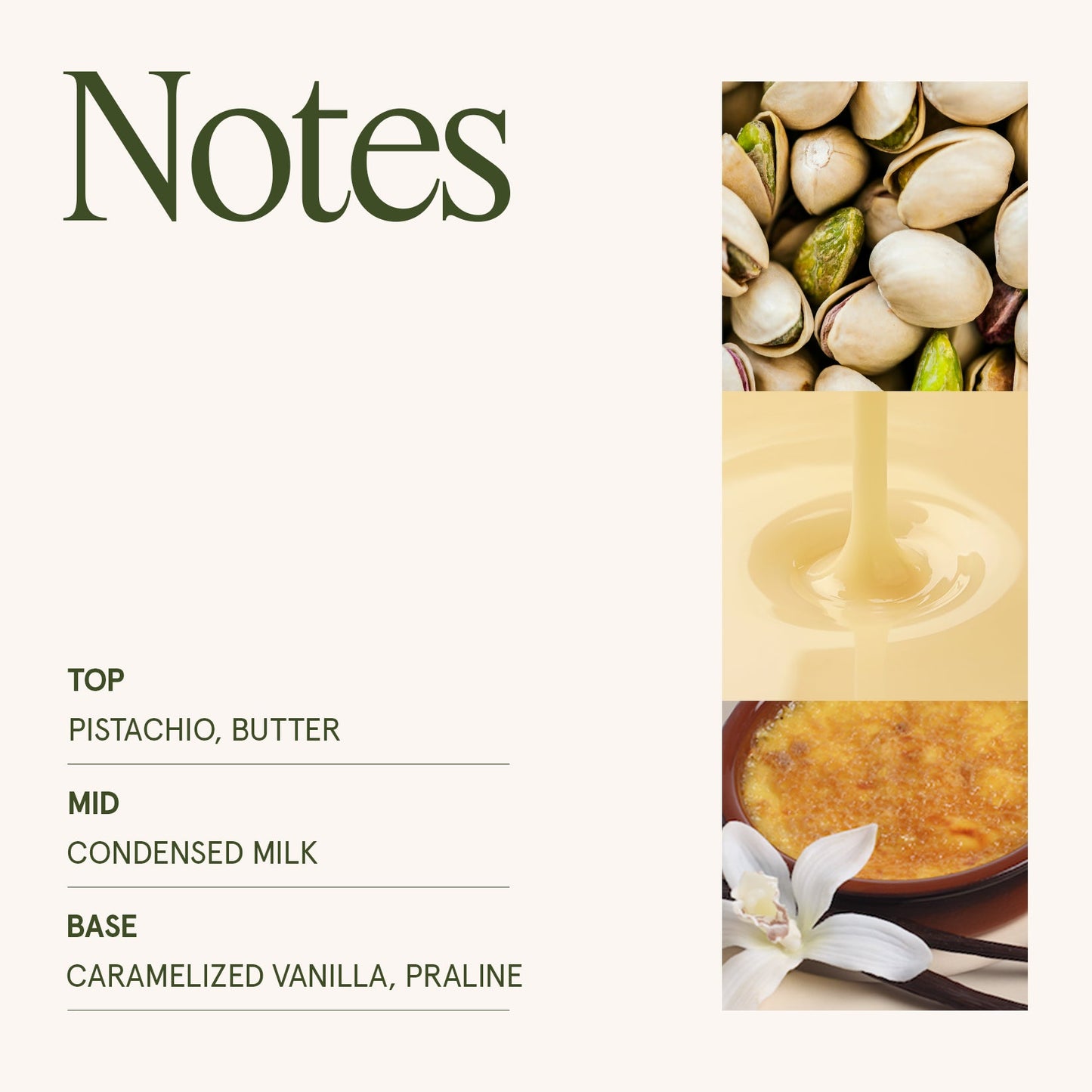 Maelyn - Pistachio Macaron 6oz Candle