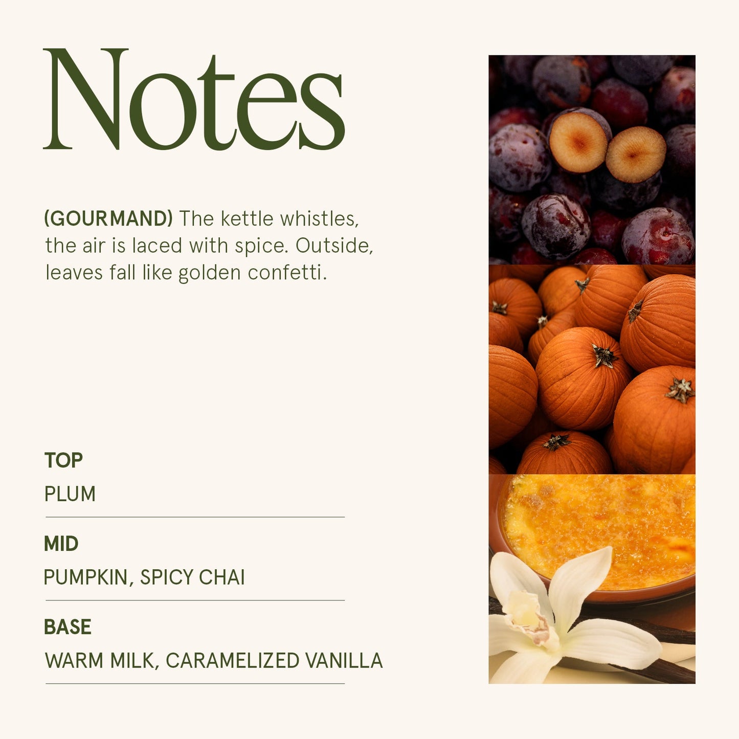 Maelyn - Pumpkin Chai 12oz Candle