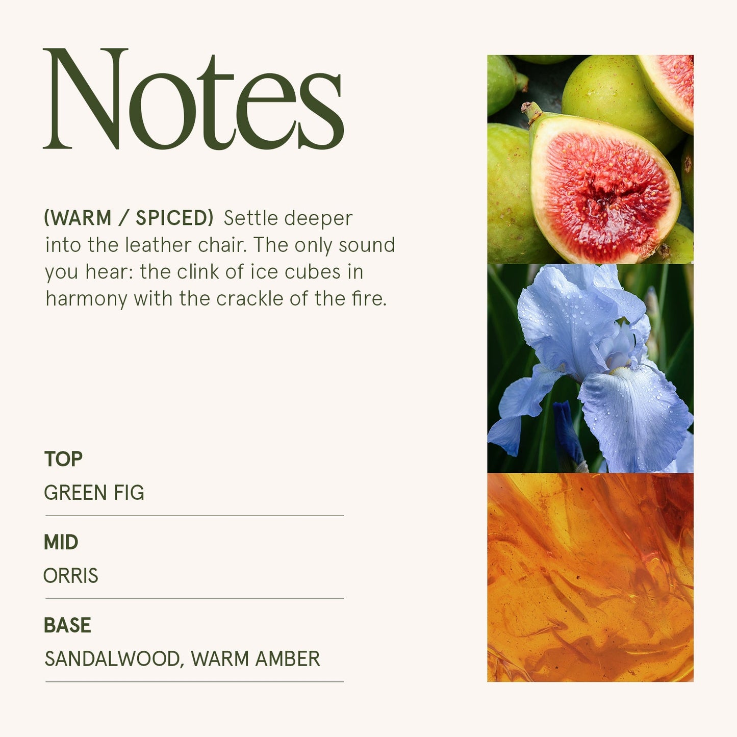 Maelyn - Santal Himalayen 6oz Candle