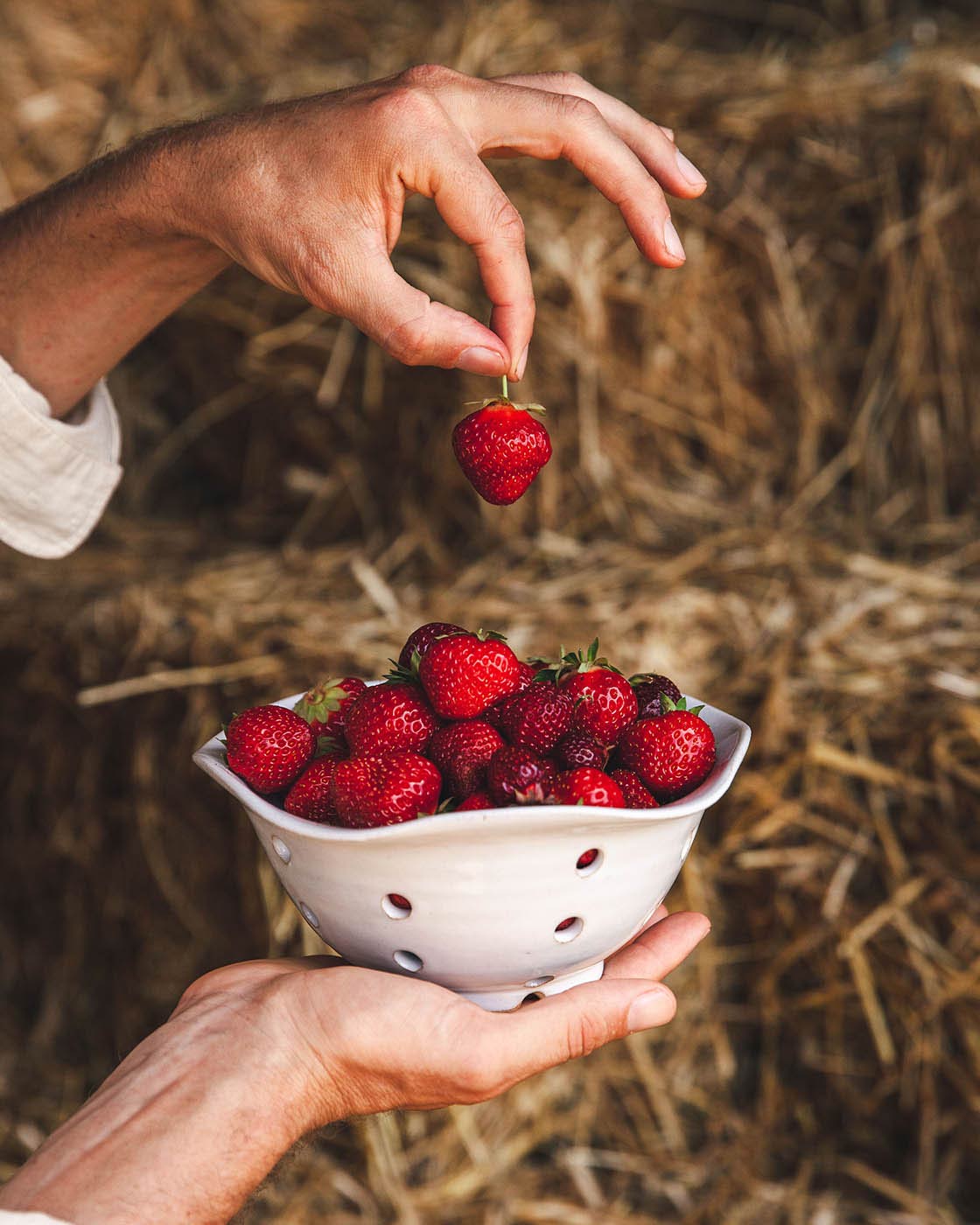 Windrow Berry Bowl