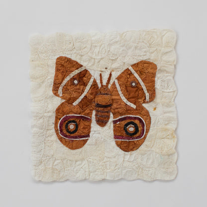 Mini Moth Set