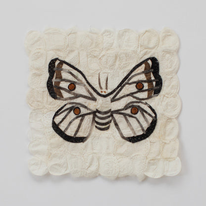 Mini Moth Set