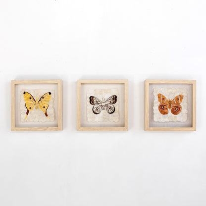 Mini Moth Set