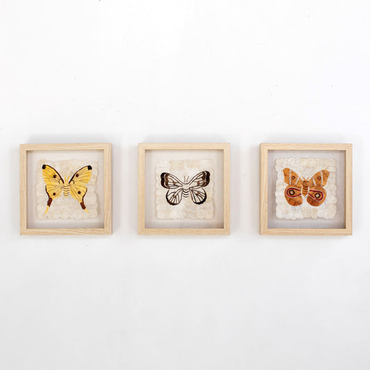 Mini Moth Set