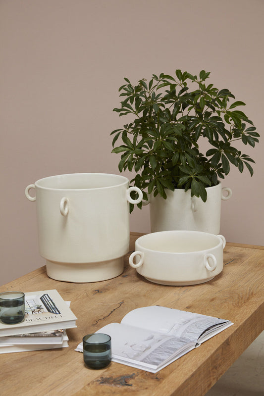 Yazu Collection