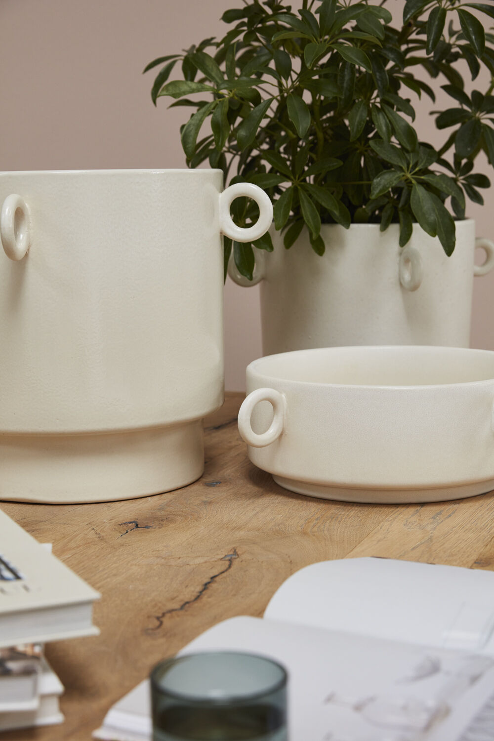 Yazu Collection